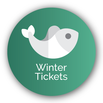 Winter Tickets